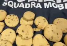 Fëmija 4-vjeçar në Arezzo sëmuret nga biskotat me kanabis: Xhaxhai,“Nuk e dija se kishin drogë”