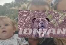 “Leo ishte ëndrra e çdo nëne” – Nëna rrëfen momentin e tmerrshëm kur fëmija 2-vjeçar humbi jetën nga sulmi i një pit bull në Zakynthos