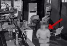 Tiranë: Arrestohet 21-vjeçari që nxiste të mitur për vjedhje dhe shiste sende të paligjshme