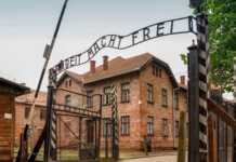 Skandal në Austri: Mjeku shkarkohet pas komentit për pacientin me obezitet “vetëm Auschwitz mund të ndihmonte”