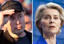 Elon Musk mbështet Fidi Panajotun: “Presidenti i BE-së duhet të zgjidhet në mënyrë demokratike”