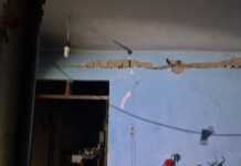 Shpërthim në Elbasan/ Bombola e gazit shkatërron banesën në lagjen “5 Maji”