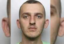 I dënuar për kultivim kanabisi, shqiptari i shpëton deportimit: “Partnerja ime britanike nuk përshtatet dot në Shqipëri”