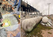 Prokuroria nis hetimin për shpërthimin në fabrikën Violanta: Pesë punonjës humbën jetën, shqyrtohen përgjegjësitë e kompanisë dhe institucioneve