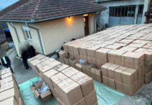 Sekuestrohen pesë tonë marijuanë në Serbi, arrestohen dy persona