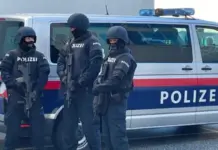 Ngjarje tronditëse në Austri: Nëna dyshohet se vrau me thikë djalin 12-vjeçar