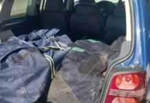 Greqi: Sekuestrohen rreth 75 kg kanabis pranë kufirit me Shqipërinë, një shqiptar në pranga