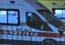 Tragjedi në Belsh: 65-vjeçarja humb jetën pas sulmit nga një qen