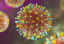 Virusi Nipah, një nga më të rrezikshmit në botë: ISHP qetëson, rreziku për Shqipërinë mbetet i ulët