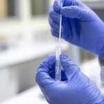 Koreja e Jugut konfirmon rastin e tetë të murtajës afrikane të derrave në 2026