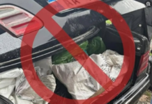 AKU asgjëson mbi 75 kg mish derri pa dokumentacion në Tregun e Milotit