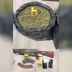 Operacioni “Jug & Veri” në Elbasan: 4 të arrestuar, sekuestrohen 41 kg kanabis dhe kallashnikov