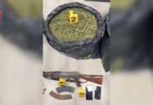 Operacioni “Jug & Veri” në Elbasan: 4 të arrestuar, sekuestrohen 41 kg kanabis dhe kallashnikov