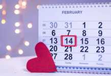 14 Shkurti që ndan opinionin: Romancë apo presion social?