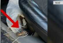 Operacioni “Aksi” në Mat, arrestohet 46-vjeçari që qarkullonte i dehur dhe me pushkë në makinë