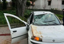 Tragjedi në Athinë: 16-vjeçari shqiptar Eljon Metaj humb jetën në aksident automobilistik