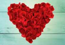 Nga rekordet e puthjeve te “kriza” në Olimpiadë – Shën Valentini 2026 mes çudirash globale