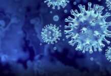 Virusët më të rrezikshëm për njerëzit: Nga të pavaksinuarit tek pandemia globale