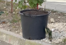 Alarm në Vlorë: Zona izolohet pas gjetjes së një përzierjeje të rrezikshme