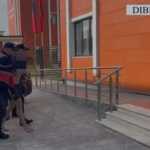 “Operacioni ‘Vendimi’ përfundoi me sukses” – Arrestohet i shumëkërkuari Klodian Llomi në Dibër