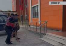 “Operacioni ‘Vendimi’ përfundoi me sukses” – Arrestohet i shumëkërkuari Klodian Llomi në Dibër