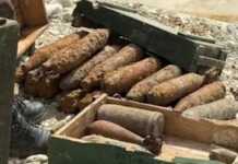 Zbulohen 160 predha të Luftës së Dytë Botërore në Selenicë