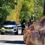 “Të shtëna pranë rezidencës së Rihanna-s”, një grua hap zjarr drejt shtëpisë së artistes në Los Angeles