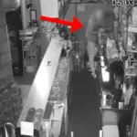 Tentoi të vidhte një furgon në Vlorë, arrestohet në flagrancë 23-vjeçari nga Kosova