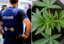 Arrestohet një 20-vjeçar shqiptar në Bruksel me 22.5 kg kanabis të sjell nga Bangkok