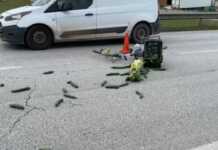 Aksident në bypass-in e Lushnjës, plagoset 45-vjeçari që po kalonte rrugën me biçikletë