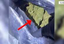 “E kishin fshehur në lavazh” – Arrestohen dy persona për trafik droge në Sarandë