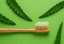 Kujdesi për gojën/ Aloe vera si ndihmë natyrale për mishrat e dhëmbëve