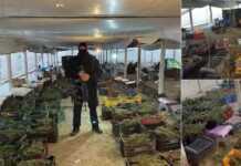 Tronditëse në gjyq: Granit Plava ndryshon dëshminë, implikon Naim Murselin në vrasjen e Liridona Ademaj