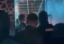 Zbardhen emrat e të arrestuarve në operacionin “Night Clubs” për shpërndarje droge në Ish-Bllok