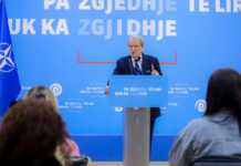 Berisha akuza të forta ndaj Ergys Agasit: “E kanë rrahur shumë keq, mbrohet nga shteti”