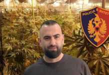 Shtatë punonjës policie në Peqin pezullohen pas zbulimit të depos me kanabis në emër të ish-drejtorit të burgut