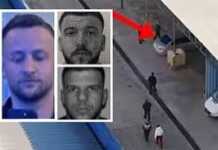 U morr peng në Tiranë për 2 milionë euro, ky është bosi i call centerave që u dhunua