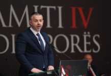 “Diaspora është forcë jetike” – Rexhepi ngre shqetësime për shqiptarët në Luginën e Preshevës në Samitin e Diasporës