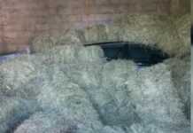 Atentati në Balldren, gjenden prova të reja – “Volkswagen Polo” i autorëve, gëzhoja dhe veshje