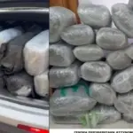 “Ndjekje si në filma në Greqi”/ Shqiptari kapet me 167 kg kanabis pas operacionit të anti-drogës në Janinë