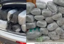 “Ndjekje si në filma në Greqi”/ Shqiptari kapet me 167 kg kanabis pas operacionit të anti-drogës në Janinë
