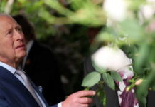 Alarm i rremë në Britani: Radio lokale shpall gabimisht vdekjen e Mbretit Charles III, kërkon më pas falje publike