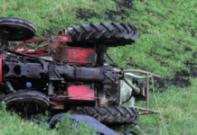 Tragjike në Lushnjë/ Humb kontrollin e mjetit bujqësor, fermeri 65-vjeçar humb jetën në vend