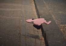 “Protesta nisi për mbrojtjen e mjedisit dhe bitisi me ndotjen e vetvetes”, Rama publikon pamjet pas tubimit para Kryeministrisë