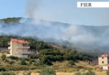 Zjarret në Fier dalin jashtë kontrollit, arrestohet 58-vjeçari dhe procedohet 78-vjeçarja