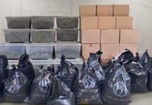 1.1 ton kanabis dhe 23 mijë bimë/ Goditet plantacioni gjigant në Zvicër, në pranga një shqiptar dhe një kosovar
