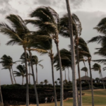 Uragani Lala godet Hawaiin/ Gati 130 mijë klientë mbeten pa energji, raportohet një viktimë