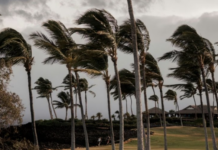 Uragani Lala godet Hawaiin/ Gati 130 mijë klientë mbeten pa energji, raportohet një viktimë