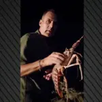 “Nuk mund ta duroja atë që po shihja”/ Aktivisti francez paguan 300 euro për karavidhen dhe e liron në det
