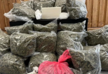 17.5 kg marihuanë, kokainë dhe Crystal Meth, arrestohen shqiptari dhe austriaku në Vjenë